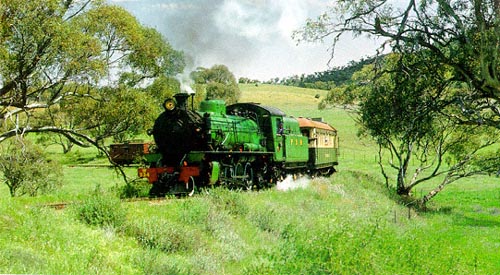 Popular Pichi Richi railway, Quorn